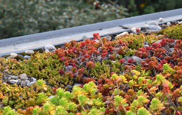 the cost of Doseley green roof installation