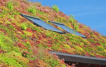 Doseley living roof systems